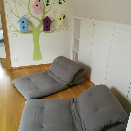 Letni Dum Pavlov Apartment Exterior photo